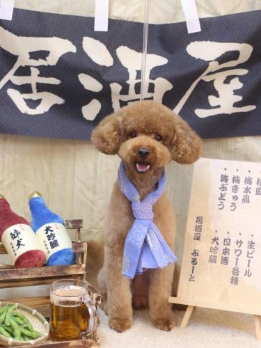 20240630まめくん